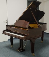 C. Bechstein Pianoforte, Legno