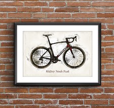 Ridley noah fast - fast, stampa