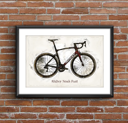 Ridley noah fast - fast, stampa