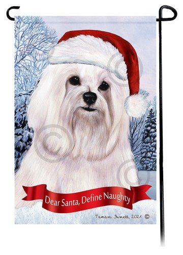 Maltese caro babbo - babbo, natale