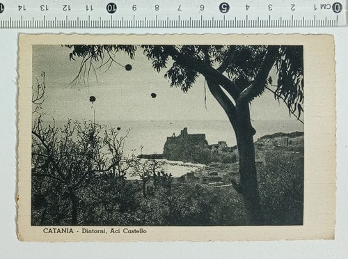 43225 2879 cartolina catania - -,