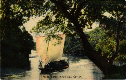 Cpa padda barge - barge, in