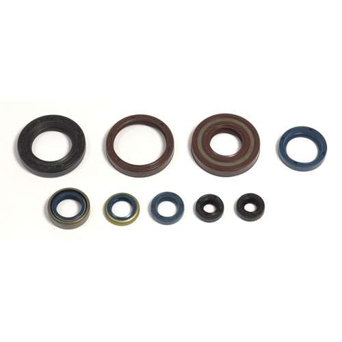 Serie paraoli motore husqvarna - paraoli,