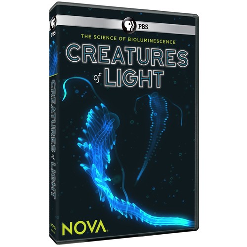 Creatures light dvd 2016 - creatures,