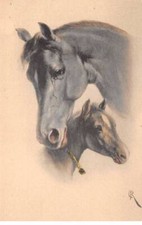 Illustratore - N°81144 - Una