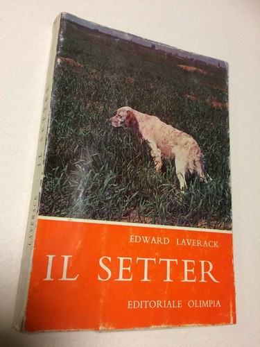 Setter edward laverack - edward,