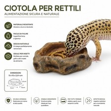 Ciotola per rettili - ciotola,