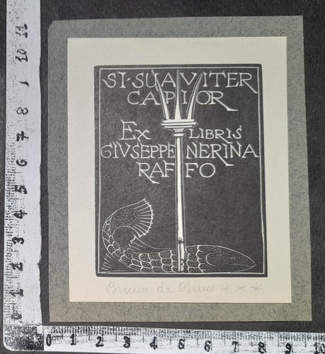 Wunderkammer exlibris 634 - b,