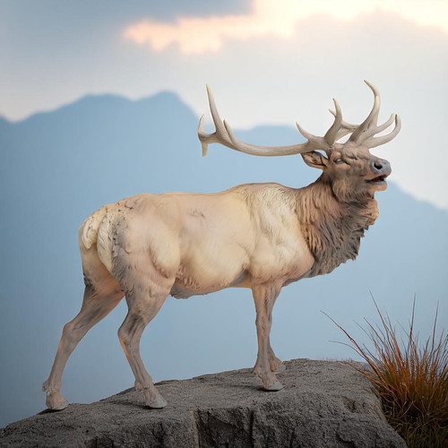 Diorama rocky mountain elk - diorama,