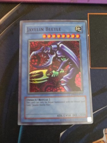 Javelin beetle - beetle, (secret
