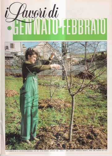 Lavori gennaio febbraio - i,