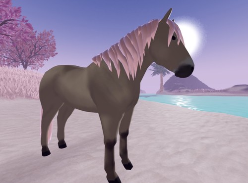 Wild horse islands iuh - wild,