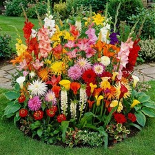 Mix di bulbi da fiore
