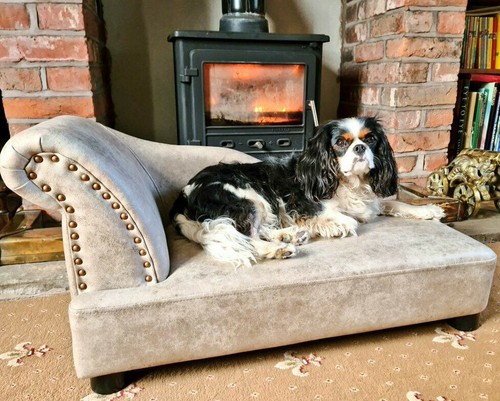 Letto per cani - cani, chaise