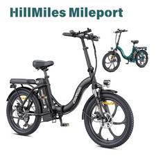 20 Pollici Bici Elettrica 13Ah