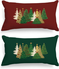 2 Pezzi Standard Federe