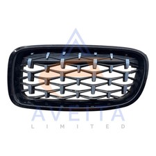 Griglia renale lato sinistro