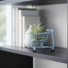Carrello Supermercato