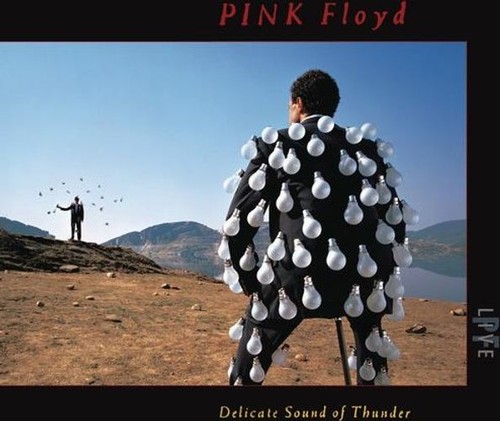 Audio pink floyd delicate - floyd,