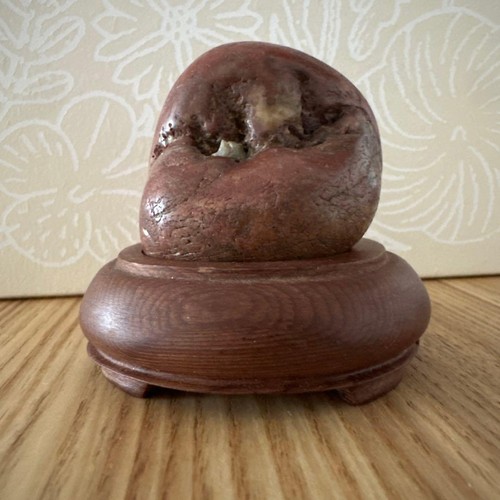 Bonsai suiseki bonseki - bonsai,