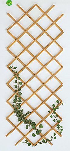 Traliccio bambu 90x240 - traliccio, cm