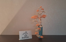 BONSAI CASCATA IN FILO DI