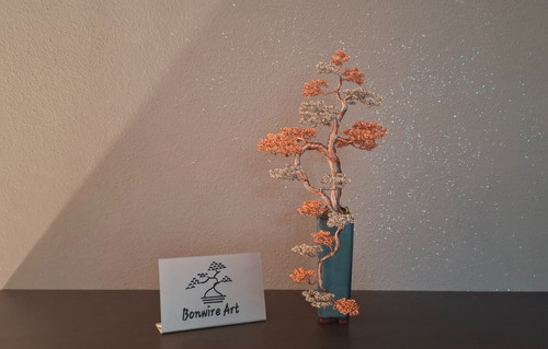 Bonsai cascata filo di - bonsai, in