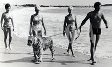 Foto vintage Usa, Bob Holter con la sua tigre in spiaggia, stampa 24x18 cm