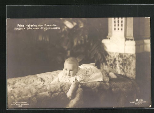 Principe hubertus sdraiato - principe,
