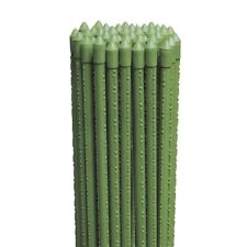 [10, 25 o 50] Canne in Acciaio