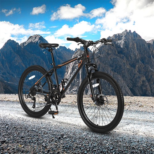Mountain bike telaio - 24",