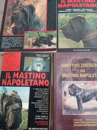 Lotto libri sul mastino - 4,