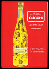 Millefiori Cucchi Una cometa nella storia di Cernusco sul Naviglio