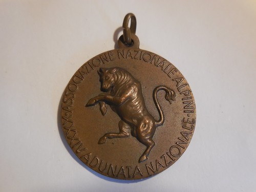 Medaglia adunata nazionale - medaglia,
