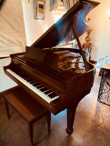 Steinway grand piano model - grand,
