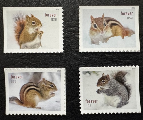 2026 scott 6129 forever - 2026, #6129-32