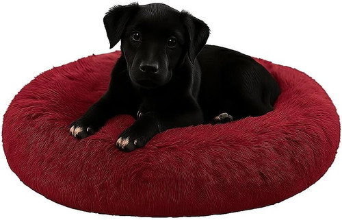 Cuccia cane interno e - interno,