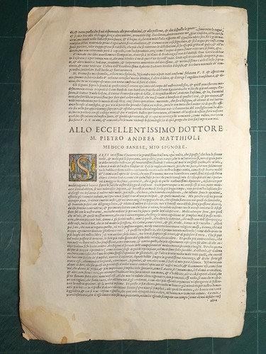 Mattioli matthioli erbario - mattioli, a