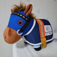 Costume cavallo collezione