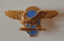 AERONAUTICA MILITARE SPILLA