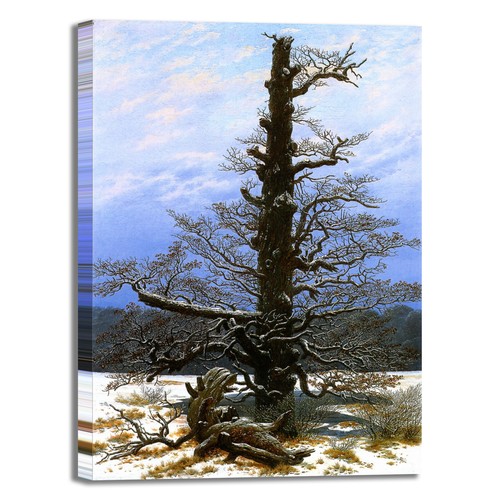 Caspar oaktree con - caspar,