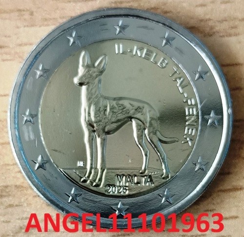 2026 malta perro - 2, "perro