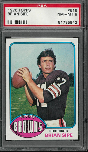 1976 topps football - cards, #516