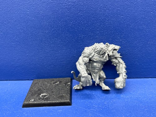Rattenoger rat orco - /,