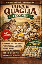 24 uova di QUAGLIA FERTILI