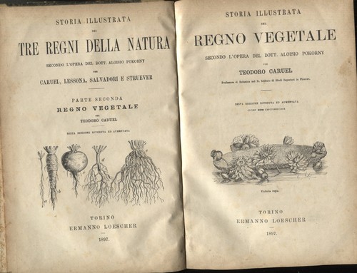 Storia illustrata del - , regno