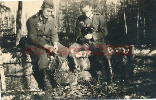 Foto kav reg 5 fronte - foto,, kav.