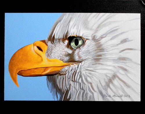Quadro originale aquila calva