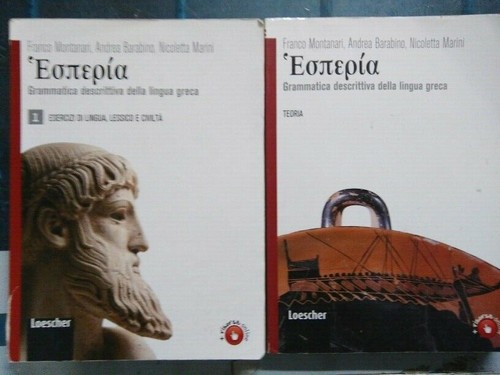 Hesperia grammatica - hesperia,