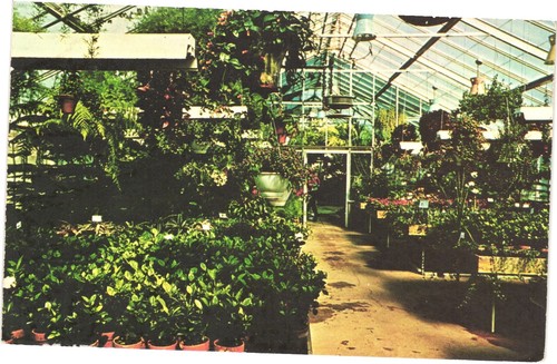 Godfrey ott greenhouses - godfrey, ott's